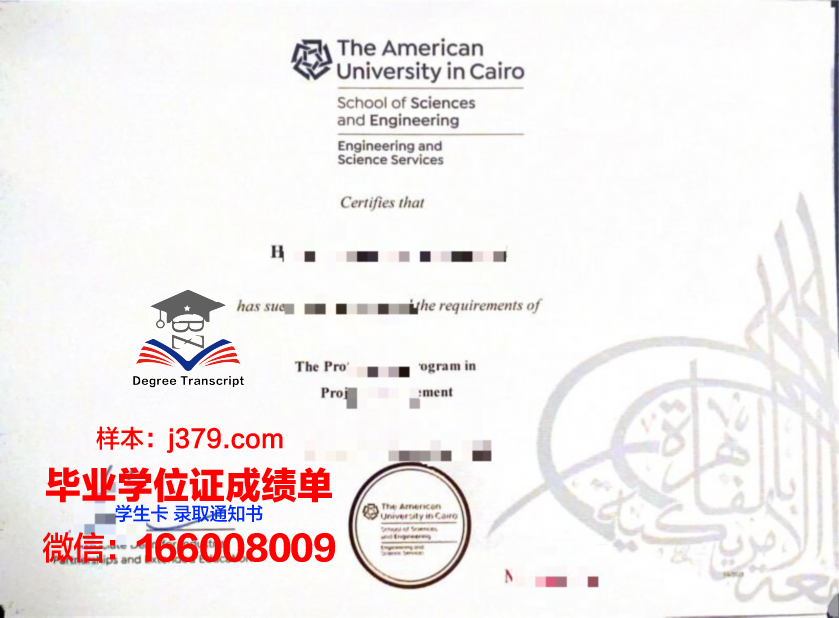开罗大学 diploma 毕业证