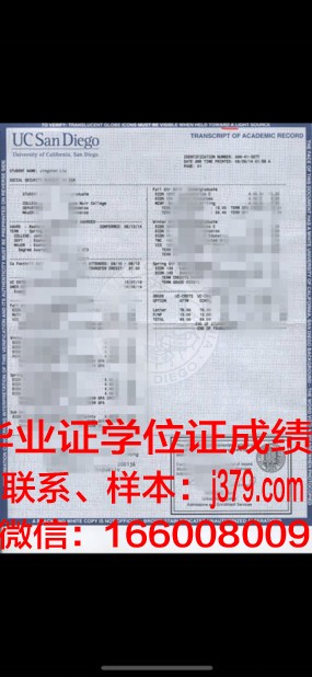 成大成绩单:一份见证成长与努力的画卷