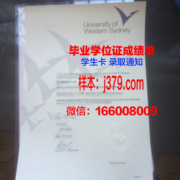 悉尼国际管理学院拿不了毕业证(悉尼大学国际教育)