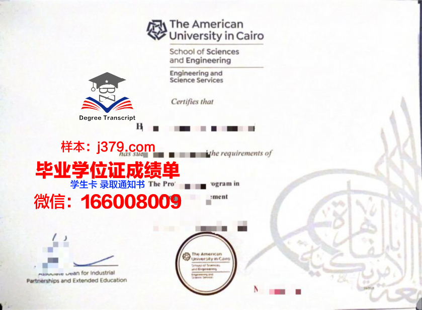 开罗硕士毕业证:跨越国度的学术荣耀