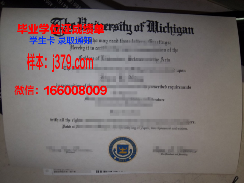 情报安全大学院大学毕业证:一份沉甸甸的荣誉