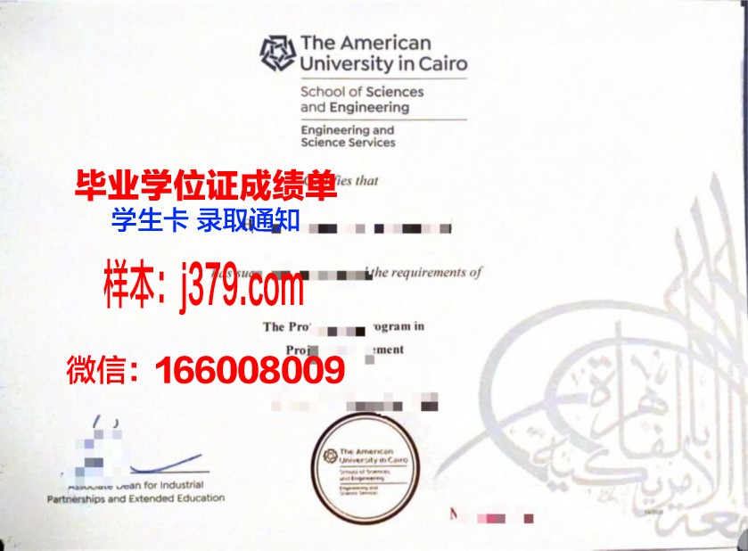 开罗大学毕业证样式(开罗大学校友)