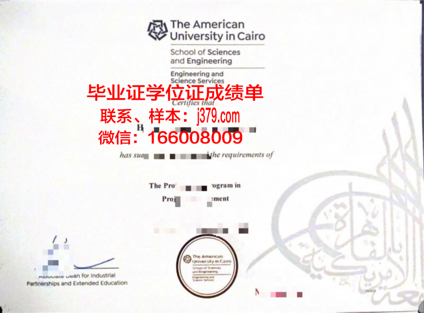 开罗大学毕业学位证有用吗(开罗大学怎么样)