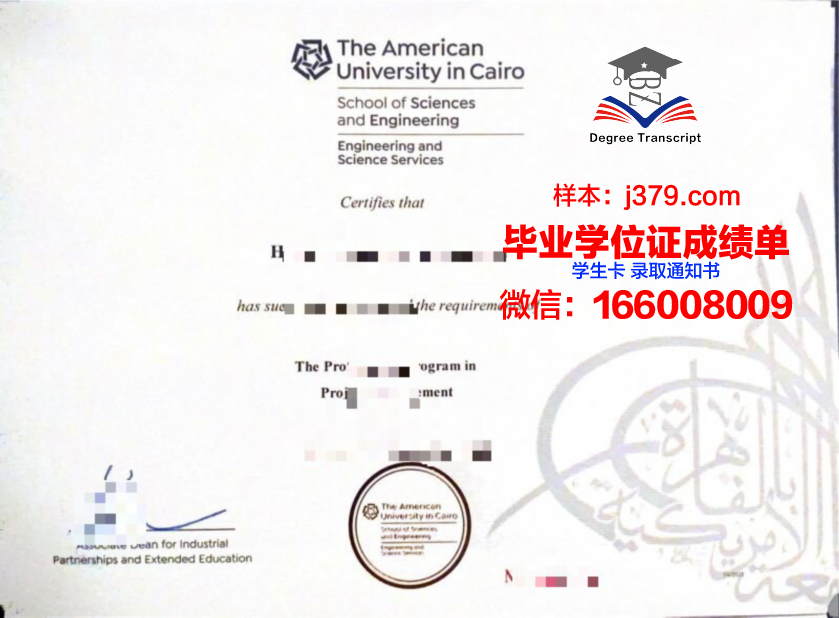 开罗大学毕业证样本(开罗大学英文)