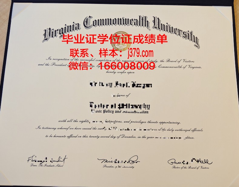 戈亚斯联邦大学毕业证书图片模板(戈亚斯州)