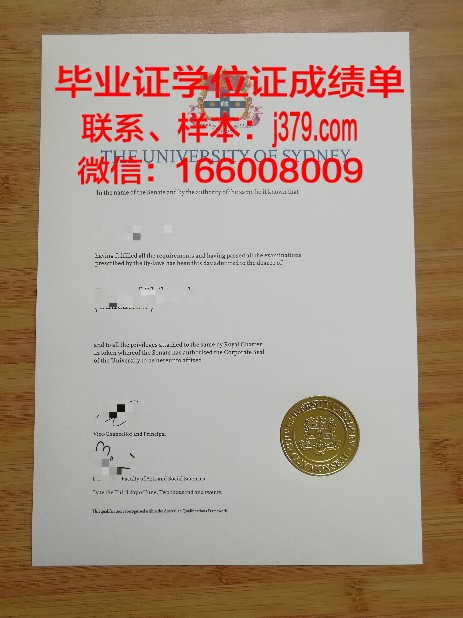 悉尼大学成绩单模板(悉尼大学成绩单模板图片)