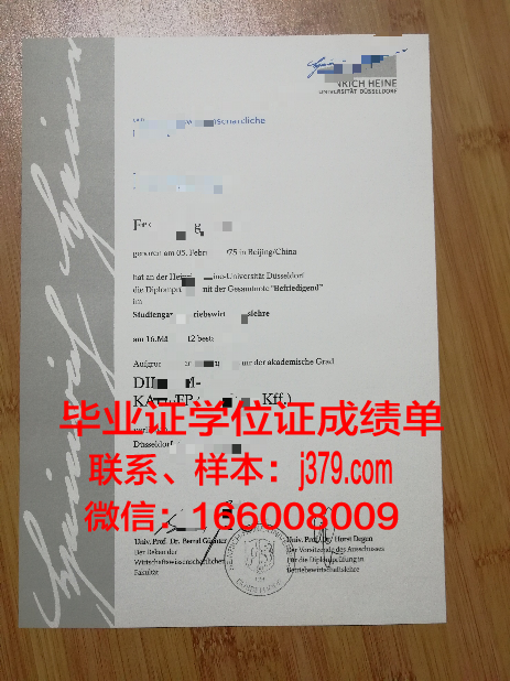 想去德国读研没小初高毕业证(德国申请硕士要高中毕业证)