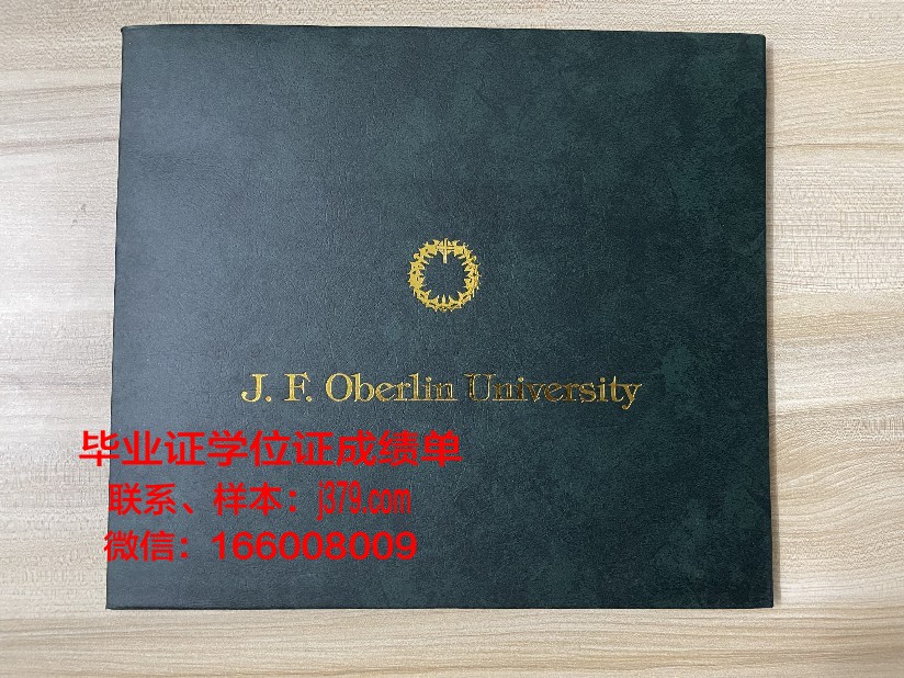 康茨坦茨应用技术大学毕业证高清图(康斯坦茨大学研究生申请)