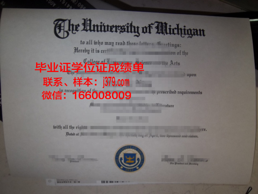 情报安全大学院大学毕业证高清图(情报学有本科吗)