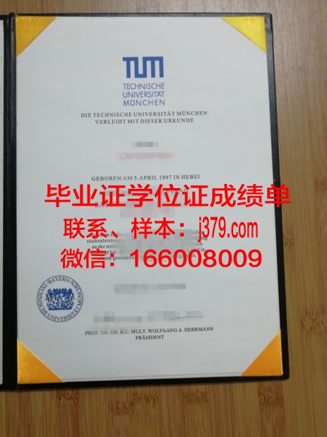 慕尼黑商学院毕业证学位证(慕尼黑商学院学费)