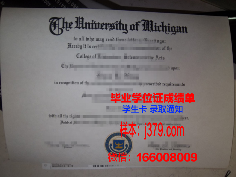 康塞普西翁大学毕业证图片(康塞普西翁火山)