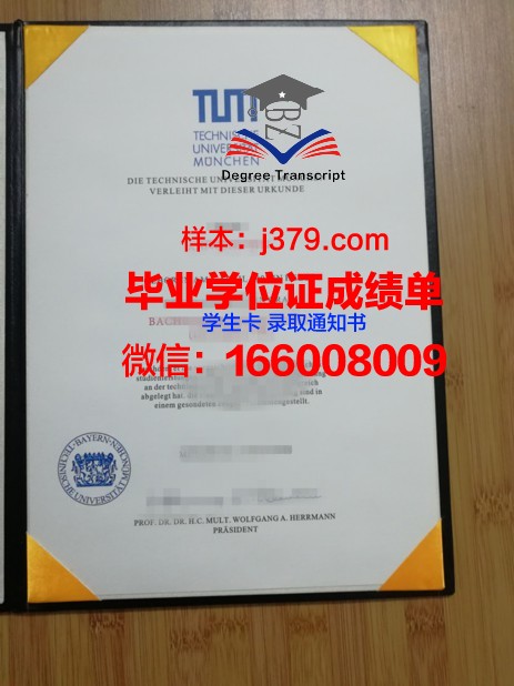 慕尼黑工业大学毕业证外壳(慕尼黑大学毕业时间)