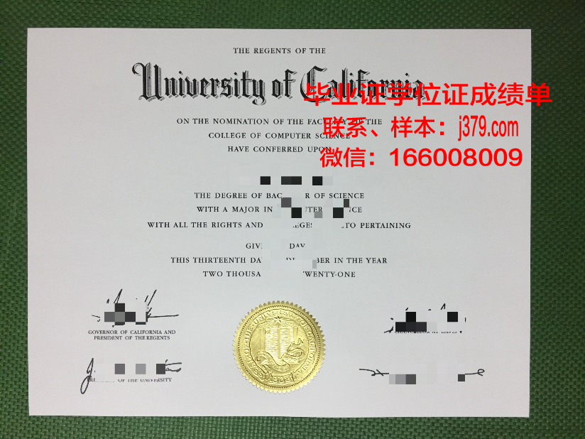 情报安全大学院大学毕业证图片(情报学毕业可以从事什么)