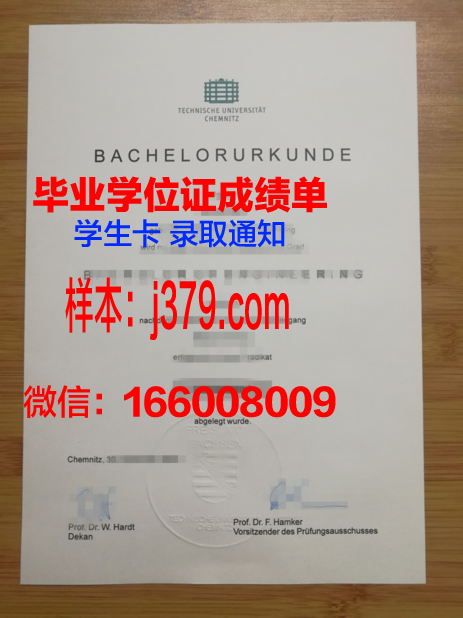 开姆尼茨工业大学毕业证成绩单:承载荣誉与梦想的凭证