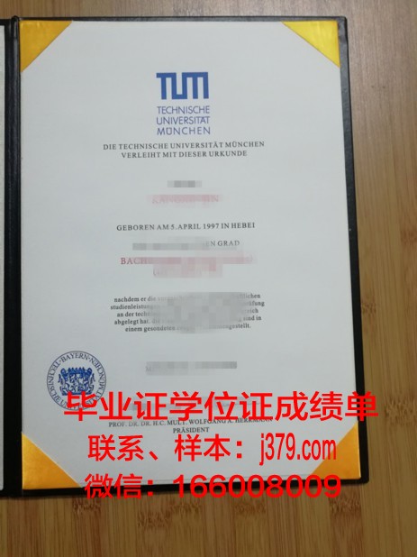 慕尼黑工业大学毕业证成绩单(慕尼黑工业大学gpa)