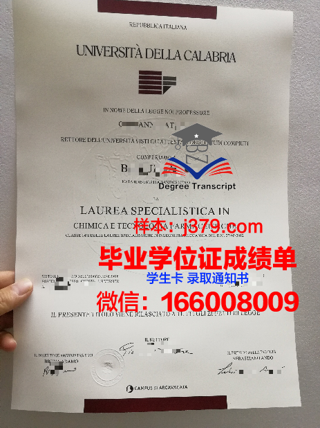 意大利毕业后只有毕业证明(意大利毕业证等很久)
