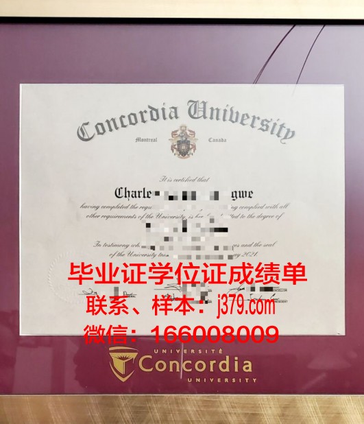 康考迪亚学院毕业证真伪(康考迪亚大学值得去吗)