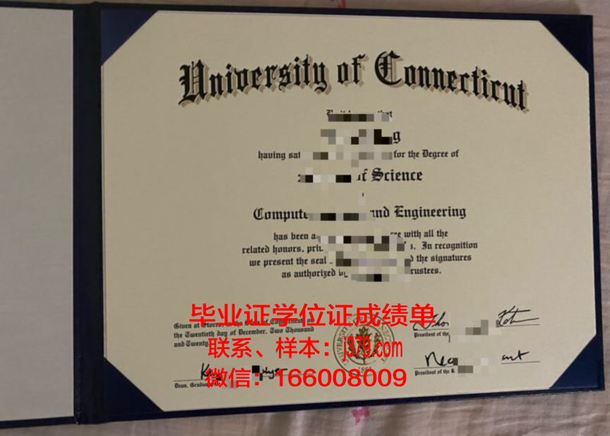 康涅狄格学院学位成绩单定制:专业、严谨、可靠