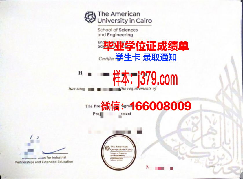 开罗美国大学毕业证书：跨越国界的学术通行证