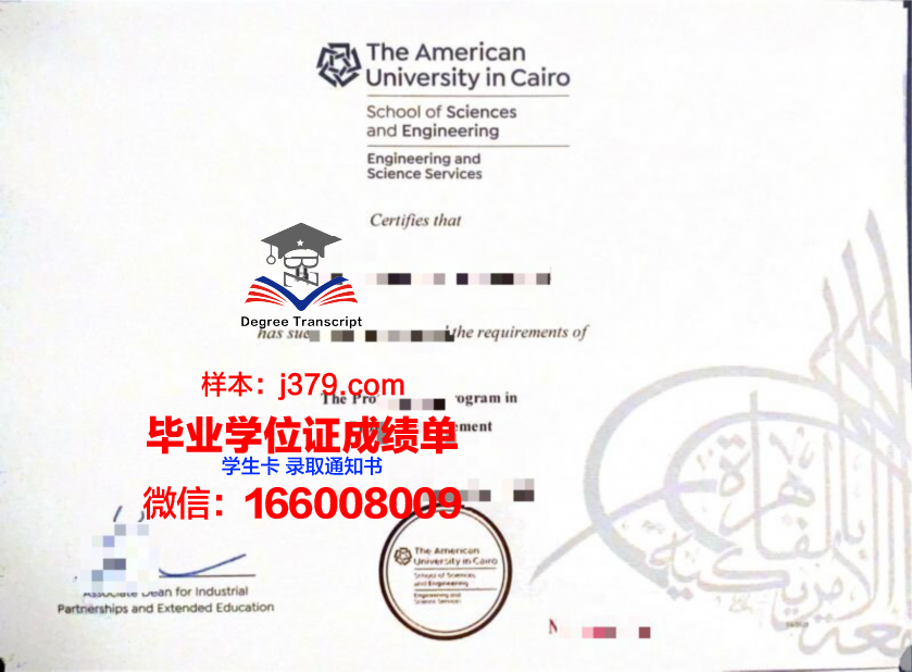 开罗大学毕业证成绩单