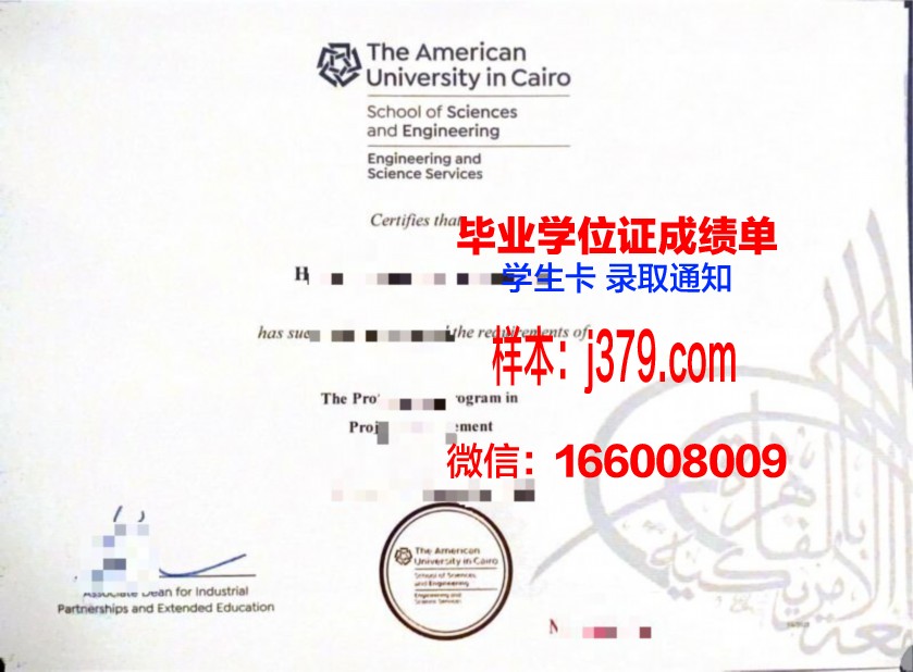 开罗大学毕业证成绩单