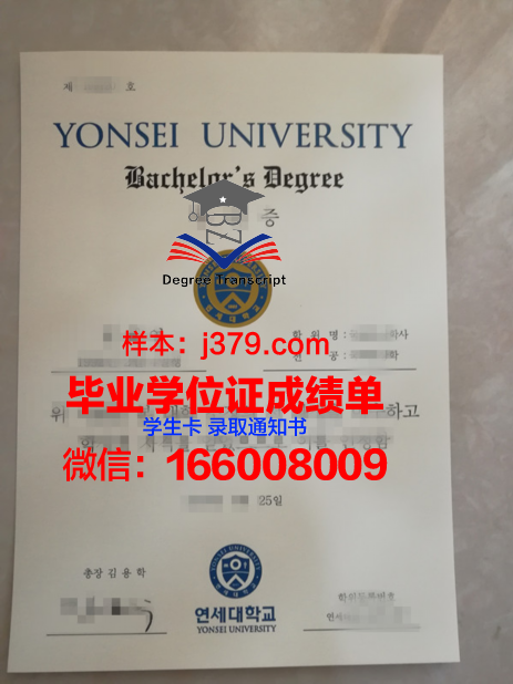 延世大学毕业证diploma