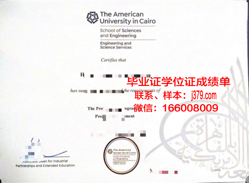 开罗大学毕业证书图片(开罗大学有什么专业)