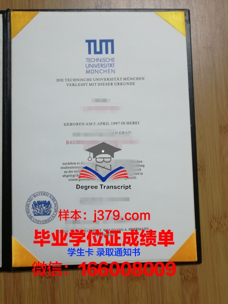 慕尼黑应用技术大学毕业证书什么颜色(慕尼黑应用技术大学官网)