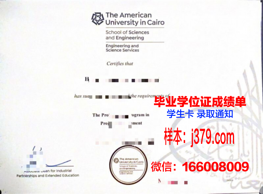 开罗大学毕业证是真的吗(开罗大学知乎)