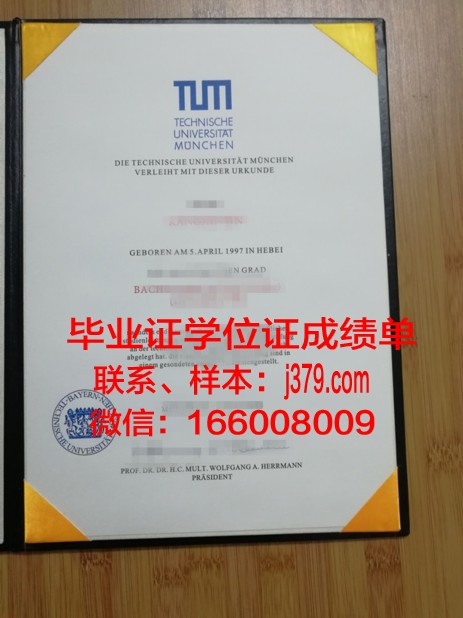 慕尼黑大学博士毕业证书(慕尼黑大学博士费用)