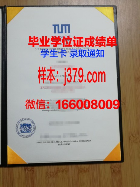 慕尼黑工业大学毕业证是什么模样(慕尼黑工业大学毕业证是什么模样的)