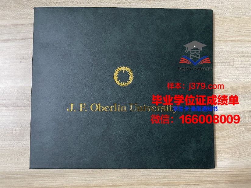 康茨坦茨应用技术大学成绩单(康斯坦茨应用科技大学)