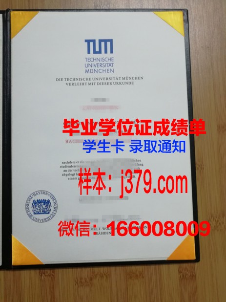 慕尼黑大学研究生毕业证书(慕尼黑大学研究生读几年)