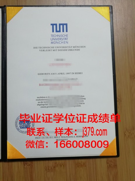 慕尼黑应用技术大学毕业证定制:专业与品质的完美结合