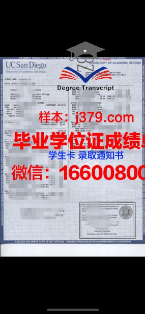 情大学成绩单:解码青春岁月的酸甜苦辣