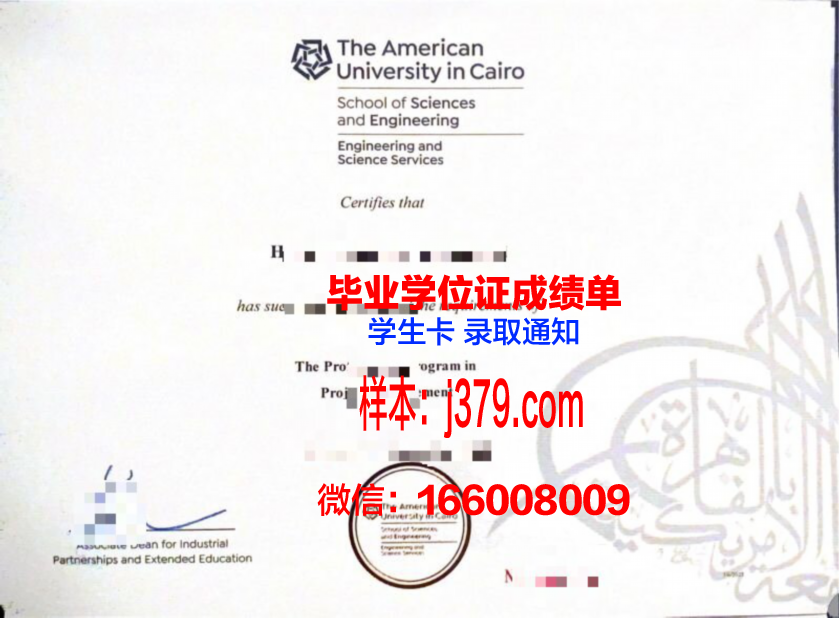 开罗大学毕业证书原件(开罗大学毕业证书原件是什么)