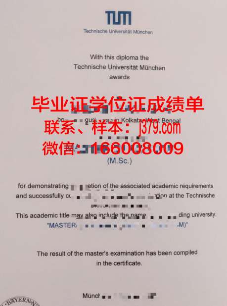 慕尼黑工业大学硕士毕业证(慕尼黑工业大学硕士读几年)
