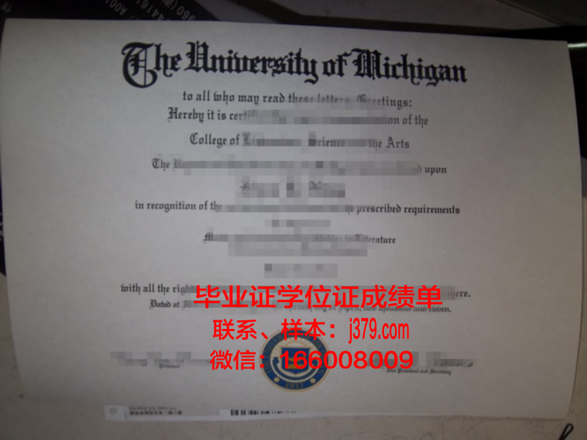 戏剧与电影艺术大学本科毕业证:开启职业生涯的黄金钥匙