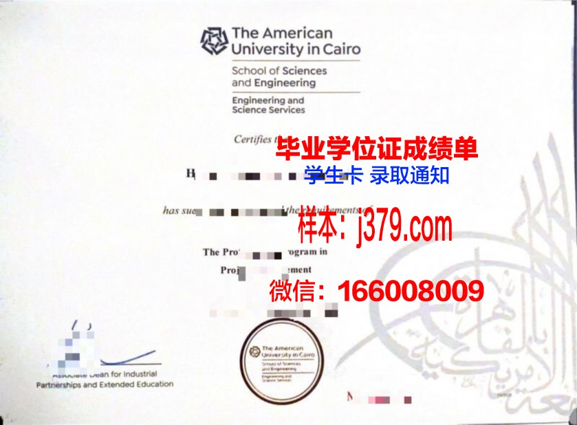 开罗大学毕业证是什么模样(开罗大学有什么专业)