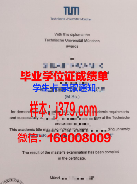 慕尼黑媒体学院成绩单:一份令人瞩目的教育成果