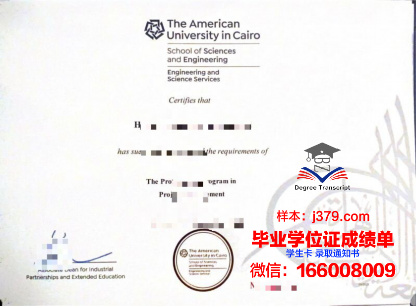 开罗大学毕业证样式(开罗大学校友)