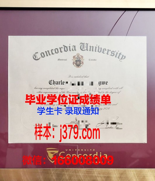 康考迪亚大学圣保罗分校毕业证书图片模板(康考迪亚大学offer图片)