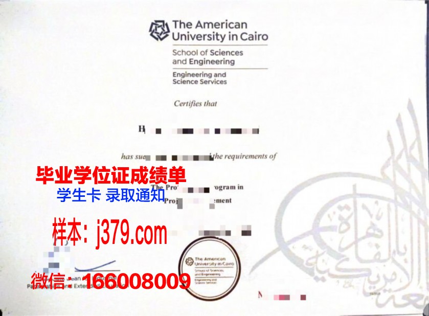 开罗大学毕业证书图片(开罗大学有什么专业)