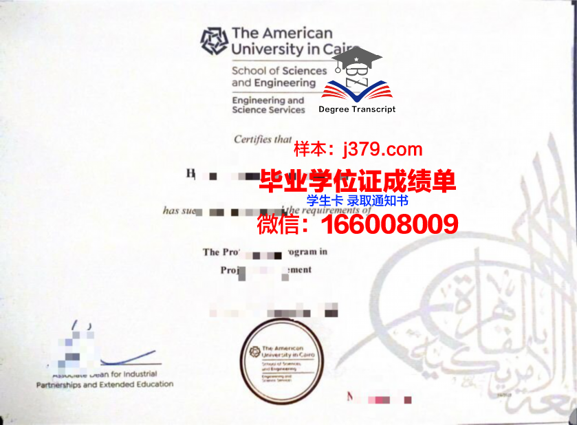 开罗大学读多久才毕业证(开罗大学读多久才毕业证啊)