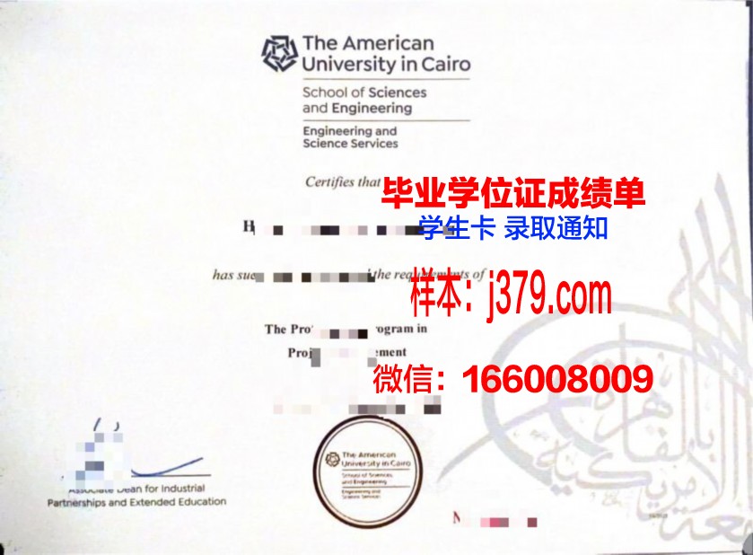 开罗硕士毕业证:跨越国度的学术荣耀