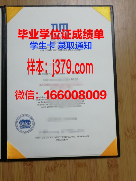 慕尼黑大学毕业证模板(慕尼黑大学毕业率怎么样)