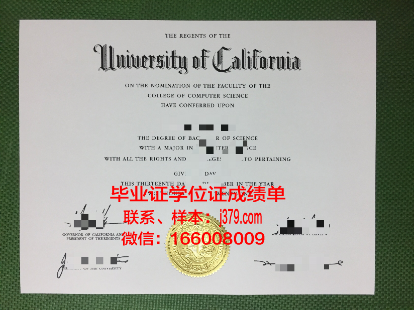 戈梅利国立技术大学毕业证成绩单:一张纸的重量