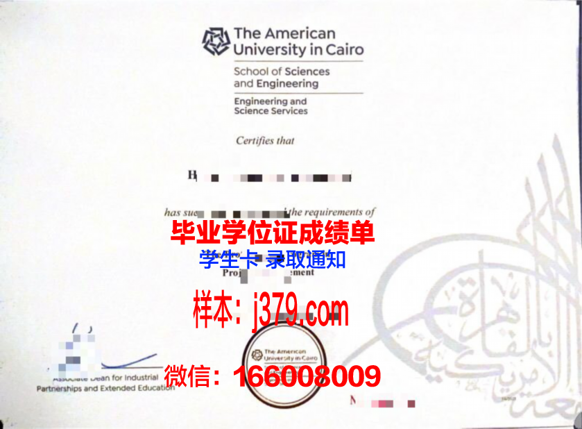 开罗大学校园卡(开罗大学是名牌大学吗)