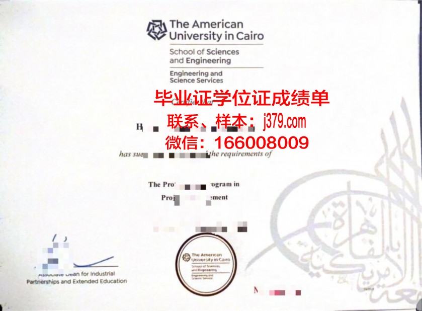 开罗大学校园卡(开罗大学是名牌大学吗)