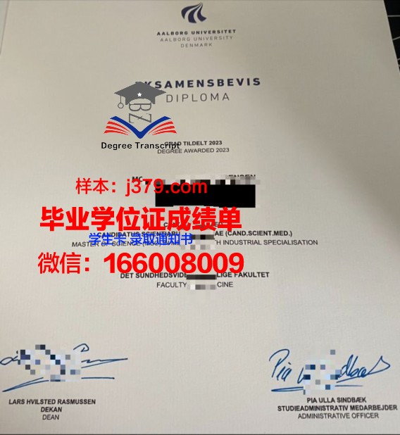奥尔堡大学拿不了毕业证(奥尔堡大学怎么样)